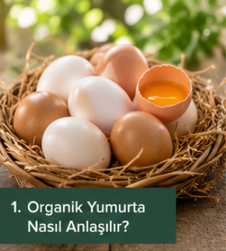 Organik Yumurta Nasıl Anlaşılır?