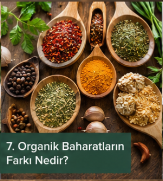 Organik Baharatların Farkı Nedir?